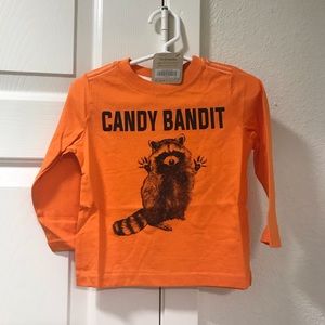 Crazy 8 Halloween - Candy Bandit Raccoon - Orange